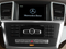 2014 Mercedes-Benz ML 350 ML 350
