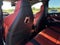 2026 BMW X5 M Competition