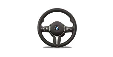 BMW Steering wheel | BMW of Temple in Temple TX
